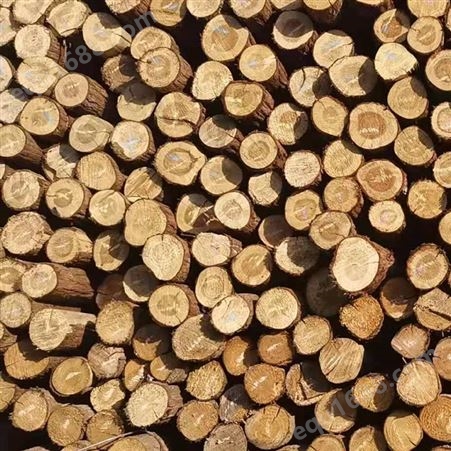 亿展木业 杉木桩 产品规格可选择 水利工程防汛