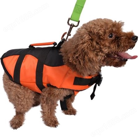狗狗泳衣救生衣 小型犬中型犬泰迪柯基法斗游泳衣 寵物玩水游泳用品